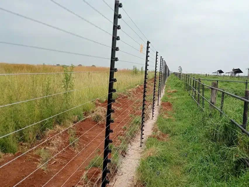 24 line free-standing electric fence installation